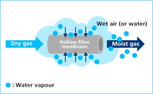 sunsep Water Vapour